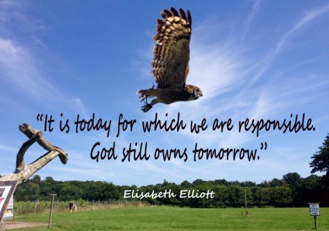 choosing-to-let-go-copy