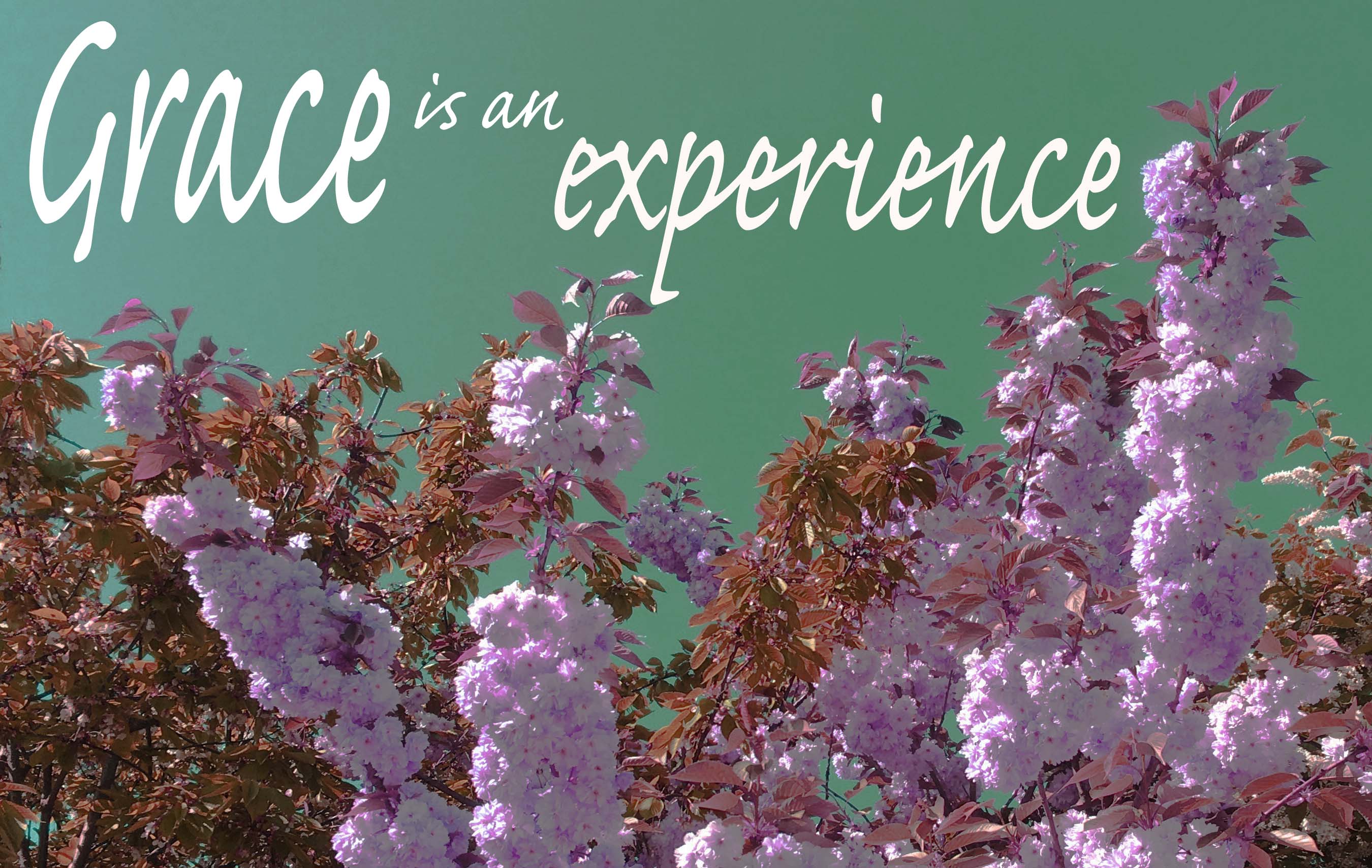 Falling into grace experience copy (2)