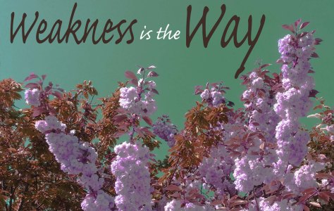 Falling into gracer Weakness is the way copy (2)